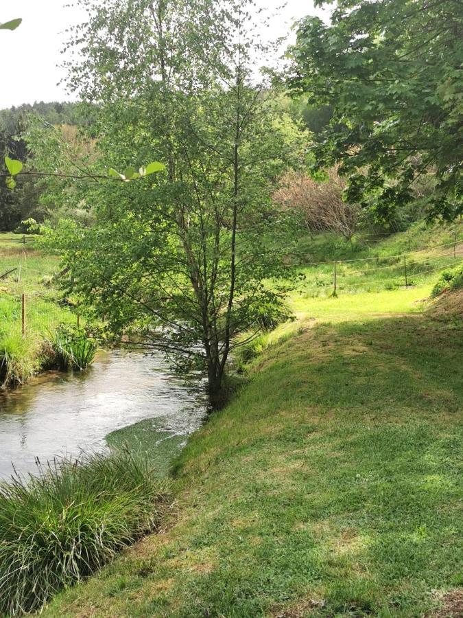 Ferienwohnung Am Salzbach Lemberg Εξωτερικό φωτογραφία